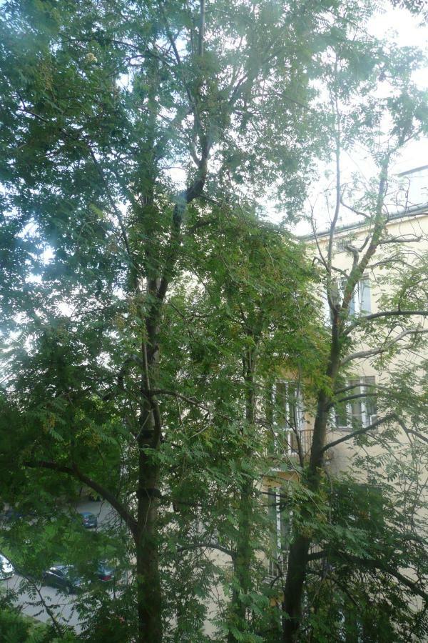Sunny Wisla River Apartment وارسو المظهر الخارجي الصورة